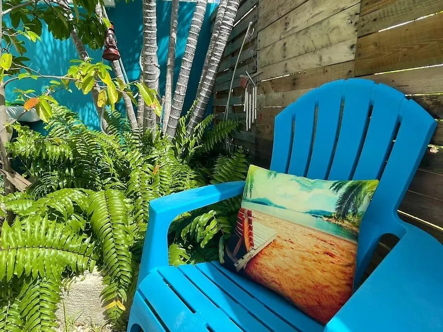Spacious Apartment In Palm Beach Aruba